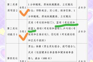 如何从业余篮球爱好者晋升为赛场高手:提高比赛水平的全面指南
